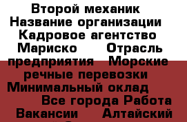 Второй механик › Название организации ­ Кадровое агентство "Мариско-2" › Отрасль предприятия ­ Морские, речные перевозки › Минимальный оклад ­ 171 635 - Все города Работа » Вакансии   . Алтайский край,Славгород г.